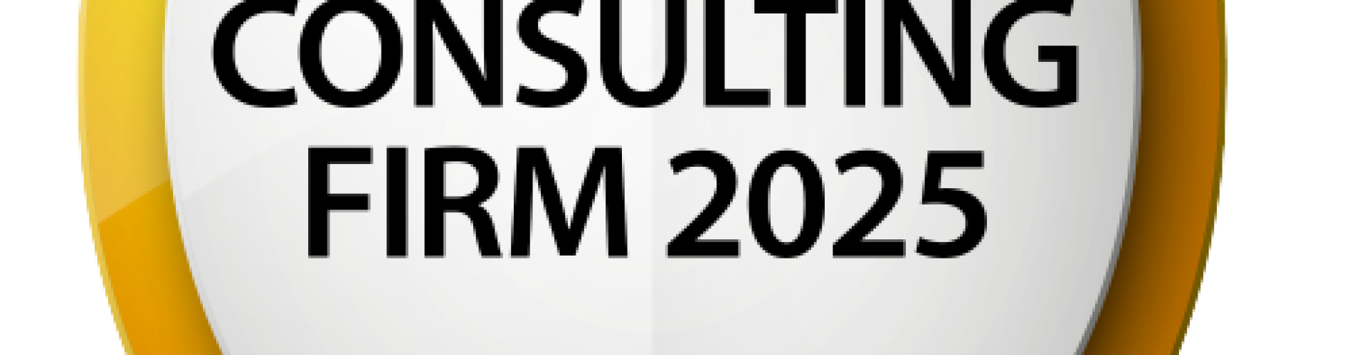 Top consulting firm 2025